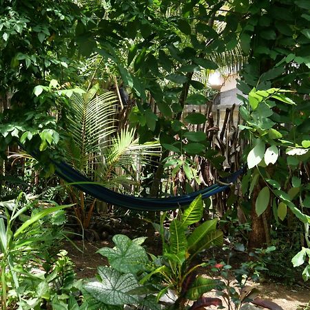 ホテル Watu House ディックウェラ エクステリア 写真