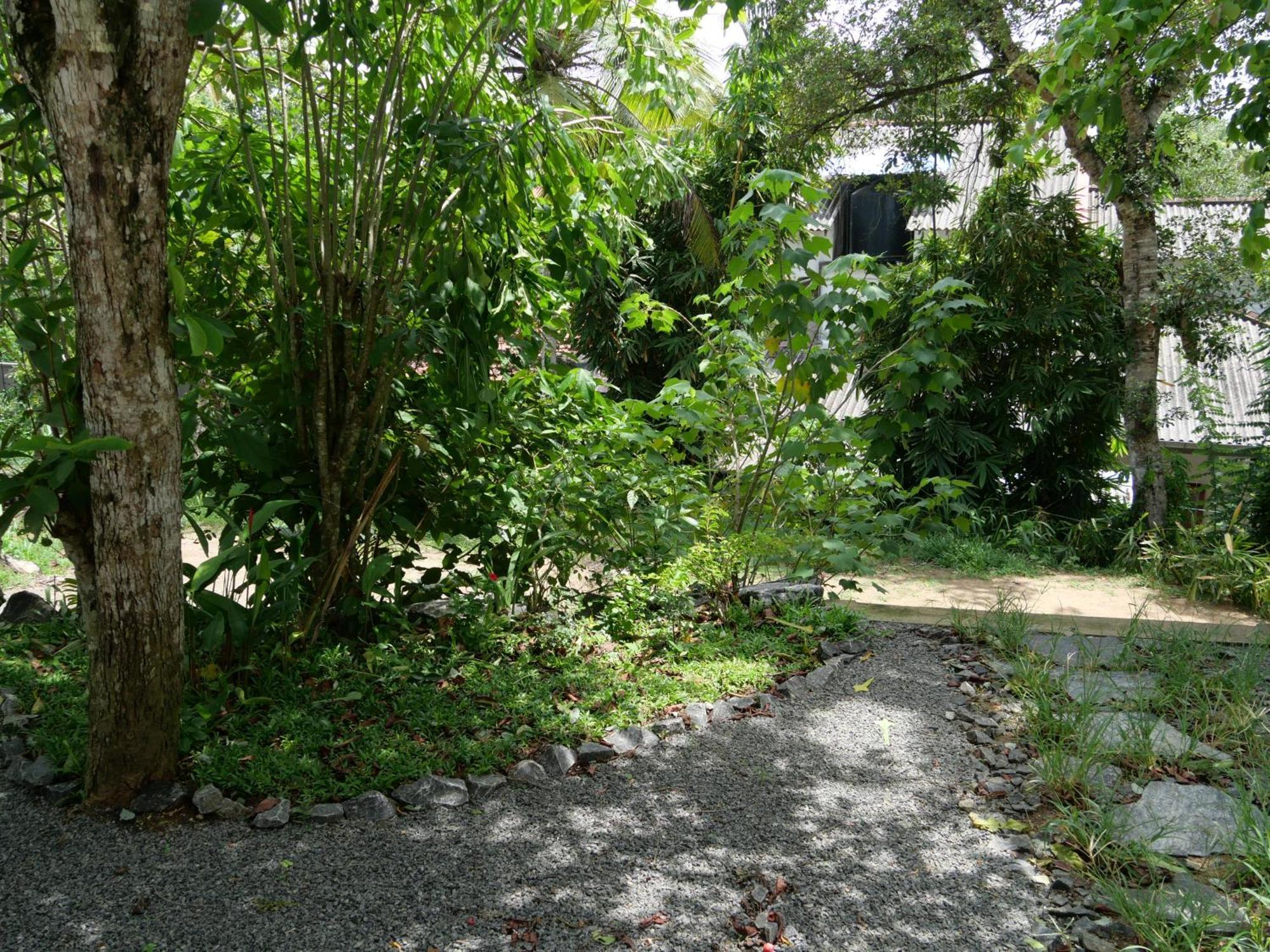 ホテル Watu House ディックウェラ エクステリア 写真