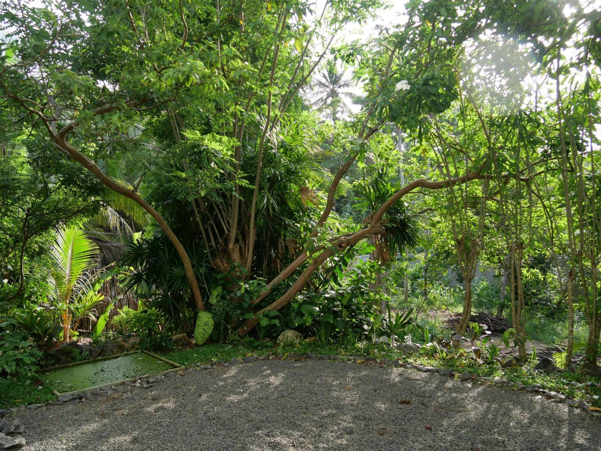 ホテル Watu House ディックウェラ エクステリア 写真