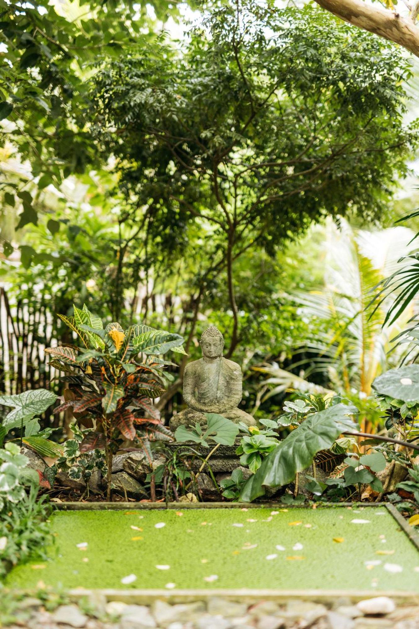 ホテル Watu House ディックウェラ エクステリア 写真